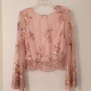 Sparkle, sheer sleeve crop top
